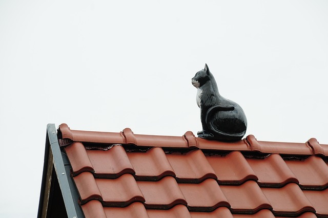 roofer|roofing|Metal roof|Metal roof repair|Metal roof installation