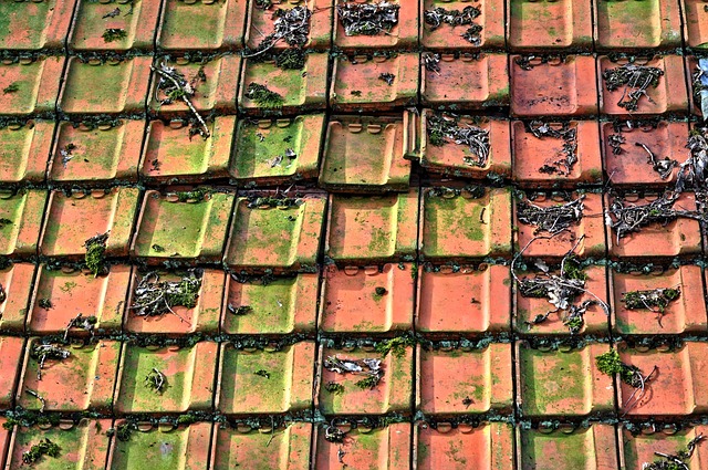roofer|roofing|Metal roof|Metal roof repair|Metal roof installation