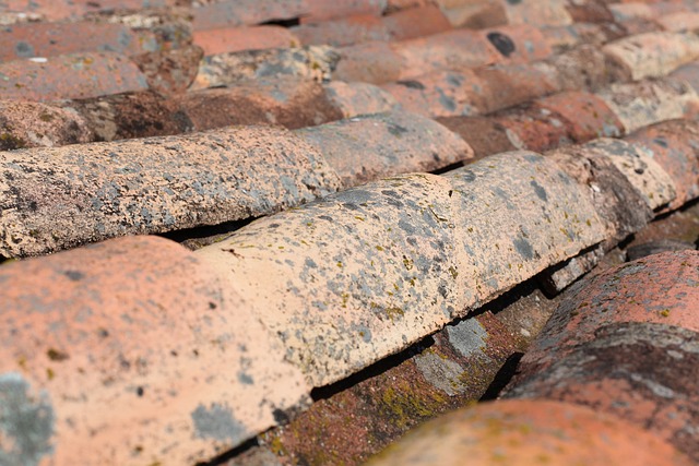 roofer|roofing|Metal roof|Metal roof repair|Metal roof installation