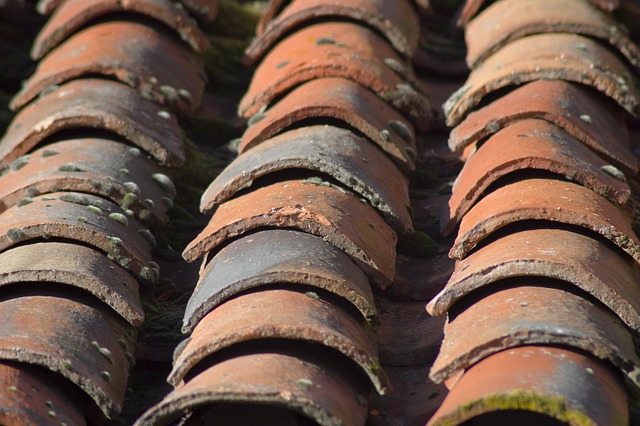 roofer|roofing|roof repair|roof installation
