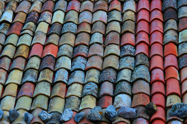 roofer|roofing|roof repair|roof installation