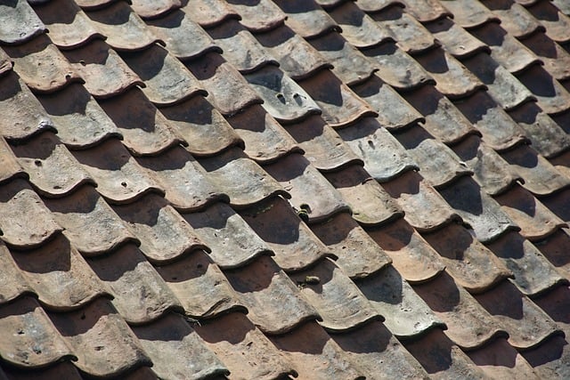 roofer|roofing|roof repair|roof installation