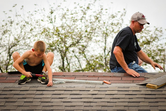 roofer|roofing|slate roof|slate roof repair|slate roof installation