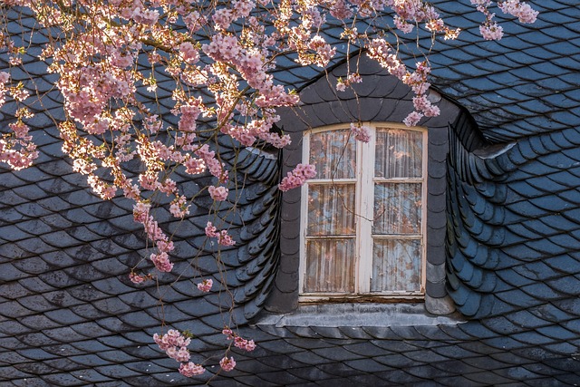 roofer|roofing|slate roof|slate roof repair|slate roof installation