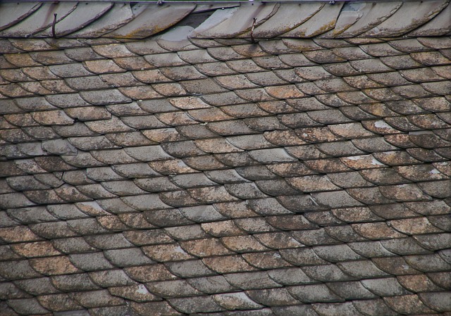 roofer|roofing|slate roof|slate roof repair|slate roof installation