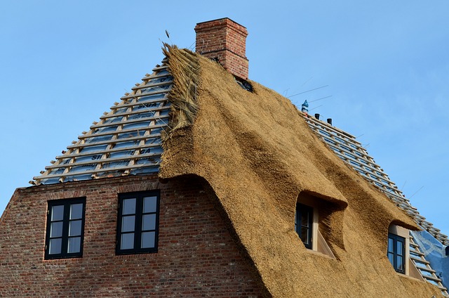 roofer|roofing|slate roof|slate roof repair|slate roof installation