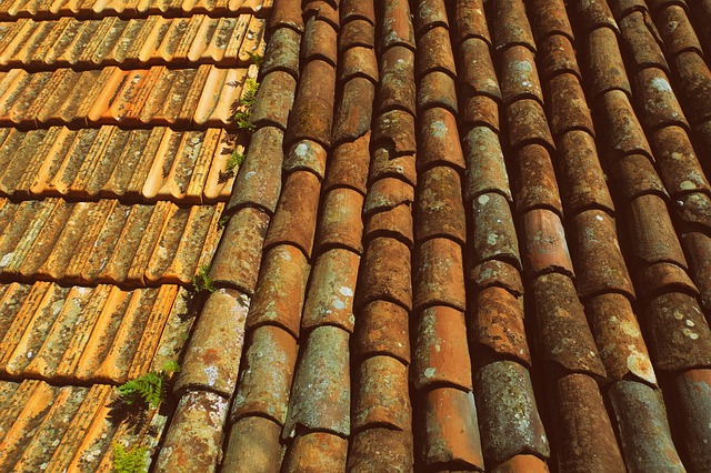 roofer|roofing|slate roof|slate roof repair|slate roof installation