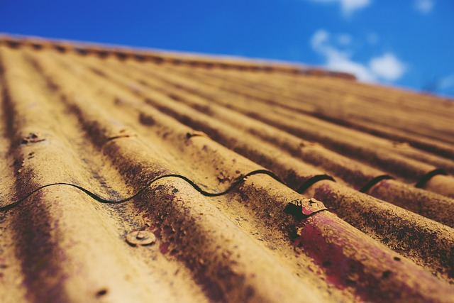 roofer|roofing|slate roof|slate roof repair|slate roof installation