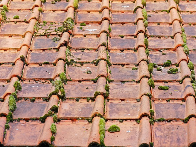 roofer|roofing|Steel roof|Steel roof repair|Steel roof installation