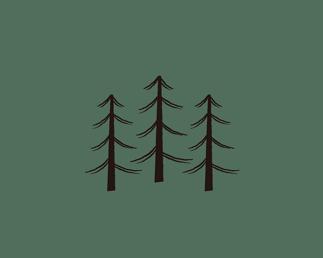 tree company|tree removal|stump grinding|tree trimming
