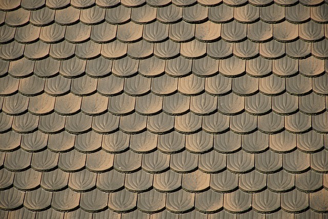 roofer|roofing|Metal roof|Metal roof repair|Metal roof installation