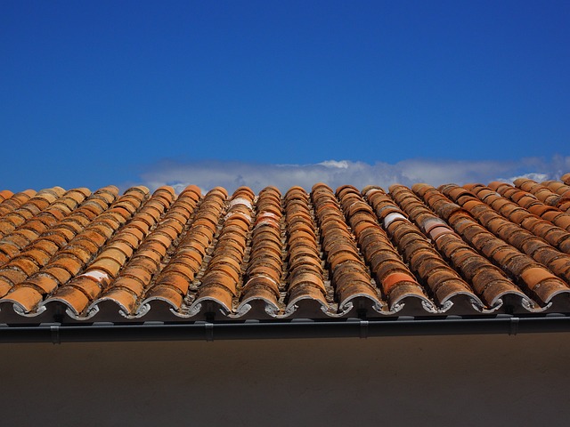 roofer|roofing|slate roof|slate roof repair|slate roof installation