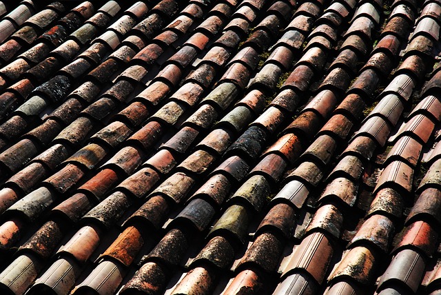 roofer|roofing|slate roof|slate roof repair|slate roof installation