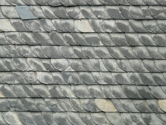 roofer|roofing|slate roof|slate roof repair|slate roof installation