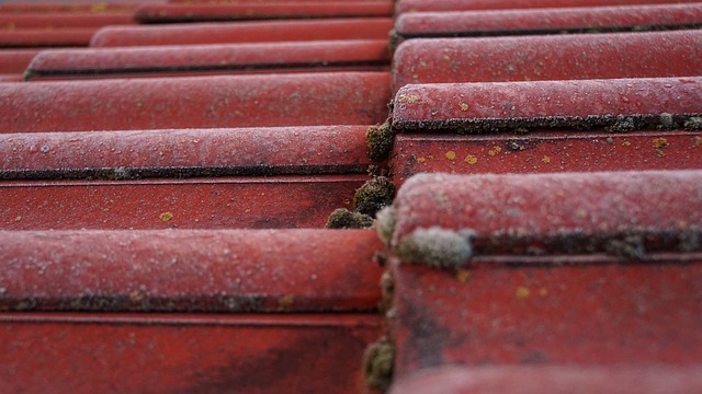 roofer|roofing|slate roof|slate roof repair|slate roof installation