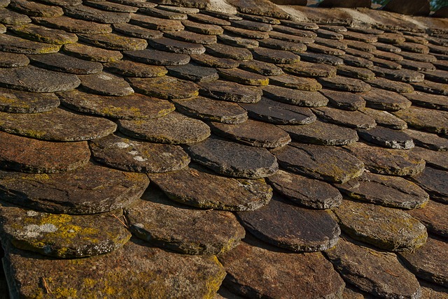 roofer|roofing|slate roof|slate roof repair|slate roof installation