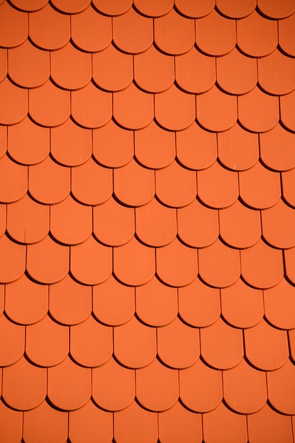 roofer|roofing|Steel roof|Steel roof repair|Steel roof installation