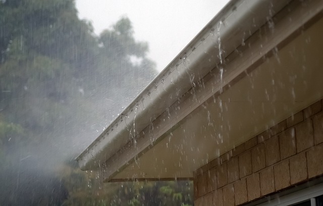 roofer|roofing|Steel roof|Steel roof repair|Steel roof installation
