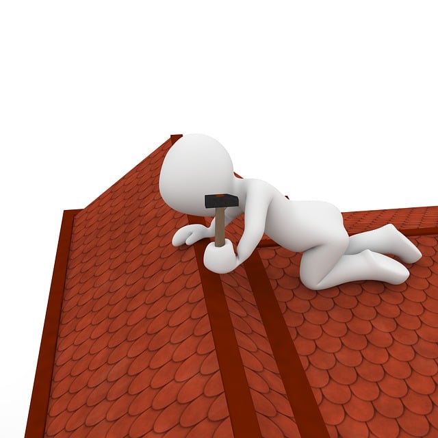 roofer|roofing|Steel roof|Steel roof repair|Steel roof installation