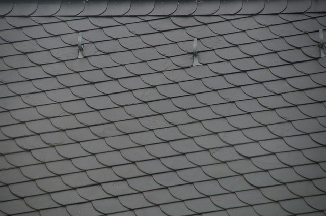 roofer|roofing|Steel roof|Steel roof repair|Steel roof installation