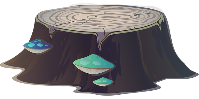 tree company|tree removal|stump grinding|tree trimming