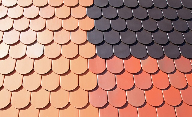 rooferroofingflat-roofflat-roof-repairfl-640x480-14860118.jpeg