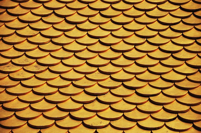 rooferroofingflat-roofflat-roof-repairfl-640x480-39773901.jpeg
