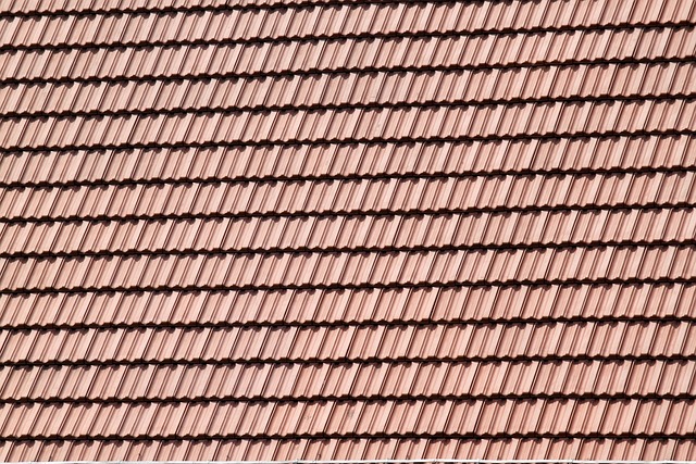 rooferroofingflat-roofflat-roof-repairfl-640x480-44733902.jpeg