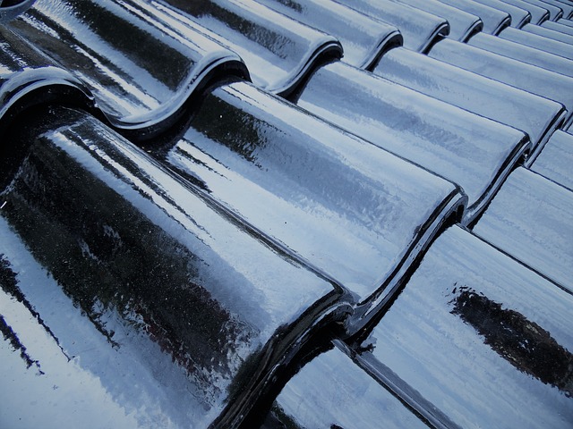 rooferroofingflat-roofflat-roof-repairfl-640x480-59763731.jpeg