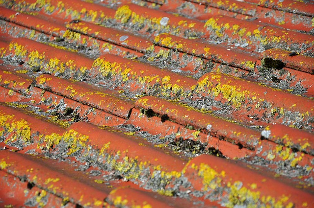 rooferroofingflat-roofflat-roof-repairfl-640x480-92961936.jpeg