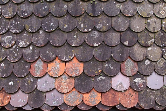 rooferroofingmetal-roofmetal-roof-repair-640x480-16765697.jpeg