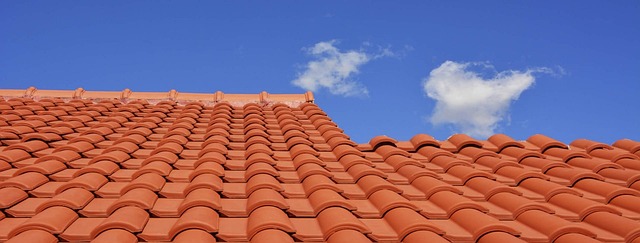 rooferroofingroof-repairroof-installatio-640x480-58938148.jpeg