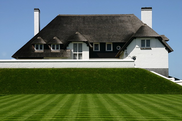 rooferroofingroof-repairroof-installatio-640x480-65413544.jpeg