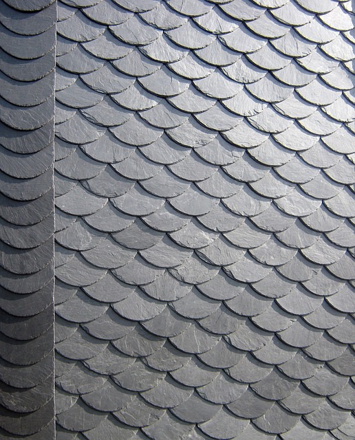 roofer|roofing|slate roof|slate roof repair|slate roof installation