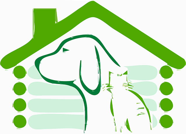 rooferroofingslate-roofslate-roof-repair-640x480-28058033.png
