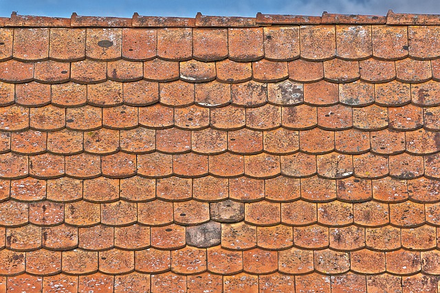roofer|roofing|slate roof|slate roof repair|slate roof installation