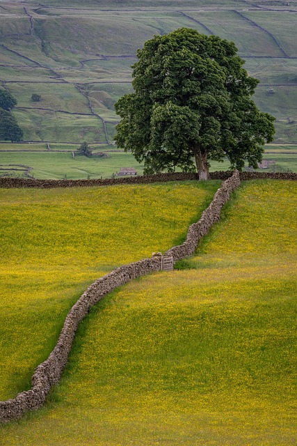 tree-companytree-removalstump-grindingtr-640x480-39408433.jpeg