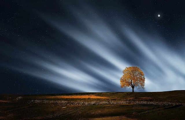 tree-removaltree-removalstump-grindingtr-640x480-67387092.jpeg