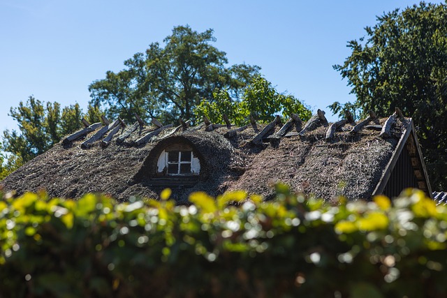 roofer|roofing|roof repair|roof installation