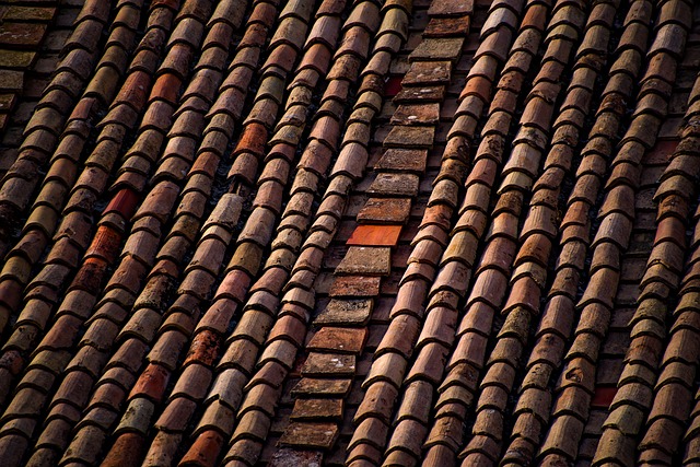 roofer|roofing|roof repair|roof installation