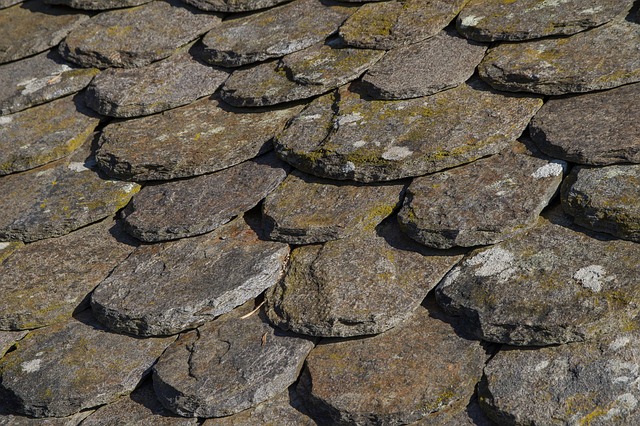 rooferroofingslate-roofslate-roof-repair-640x480-2875420.jpeg