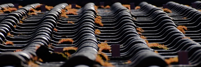 rooferroofingslate-roofslate-roof-repair-640x480-42344159.jpeg