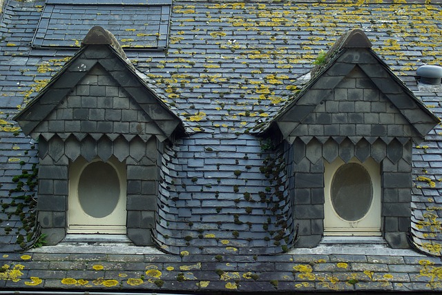 rooferroofingslate-roofslate-roof-repair-640x480-47790332.jpeg