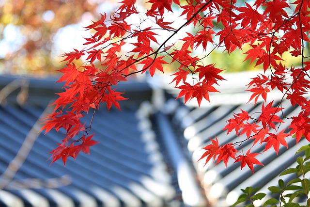 rooferroofingsteel-roofsteel-roof-repair-640x480-58583652.jpeg