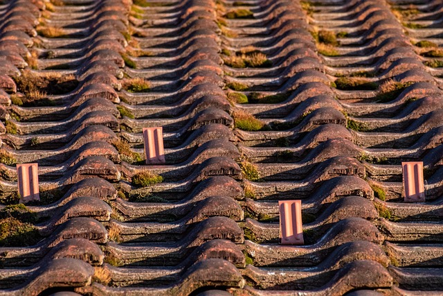 rooferroofingsteel-roofsteel-roof-repair-640x480-83552273.jpeg