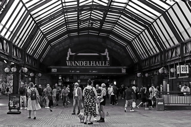 roofer|roofing|Steel roof|Steel roof repair|Steel roof installation