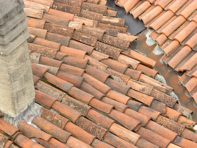 roofing|leaking roof|roof leaks|roof repair