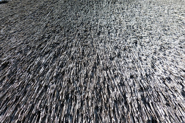 roofing|leaking roof|roof leaks|roof repair