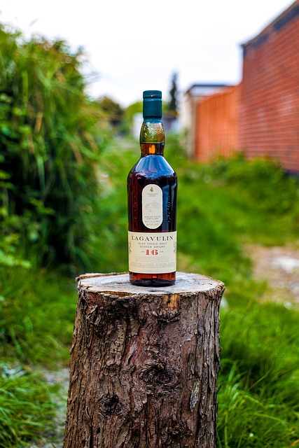 tree company|tree removal|stump grinding|tree trimming