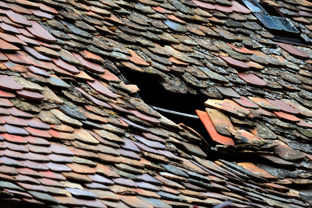 roofer|roofing|Flat roof|Flat roof repair|Flat roof installation